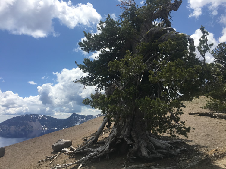 Crater Lake National Park